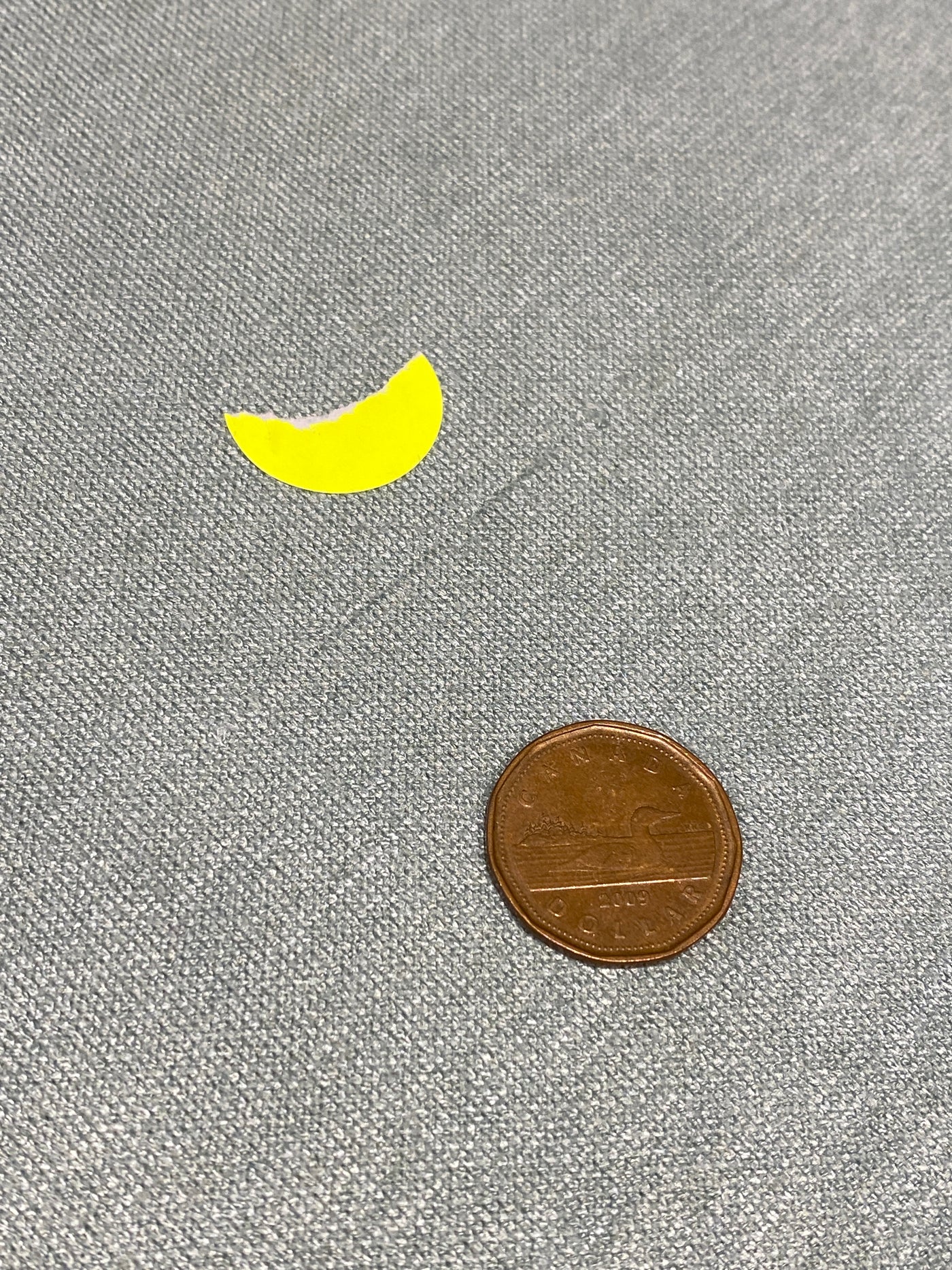 Imperfect Griffith Midi Skirt